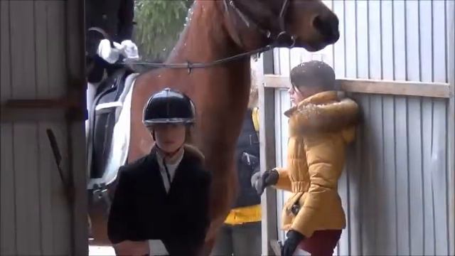 Клубные соревнования по выездке 26 10 14 смотреть онлайн