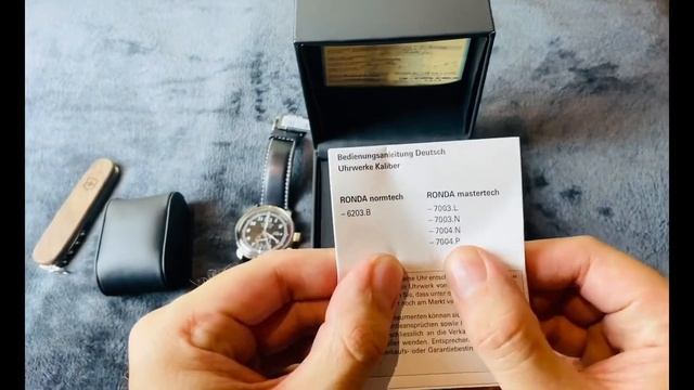 Unboxing New Zeppelin Men's 8644-2 SERIES LZ126 LOS ANGELES GMT 2nd Time Zone 42mm Timepiece