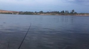 Ловля карася на Дону !