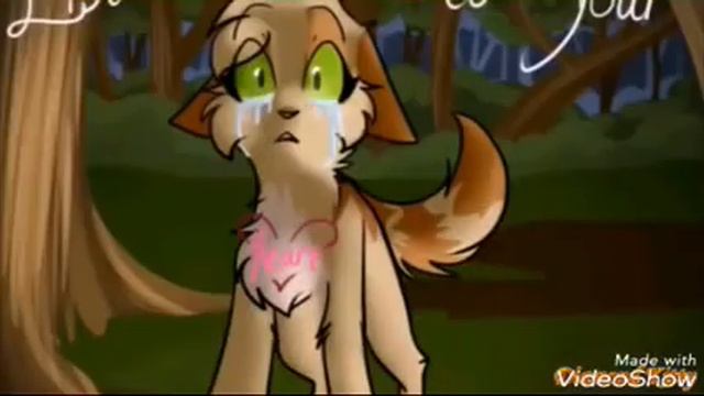 {коты~воители}[клип](огнезвёзд и песчясная буря)/самая самая\ смотреть онлайн