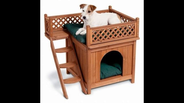 Идеи будки для собаки: порадуйте любимого питомца собственным домом, фото (dog house ideas photo) смотреть онлайн