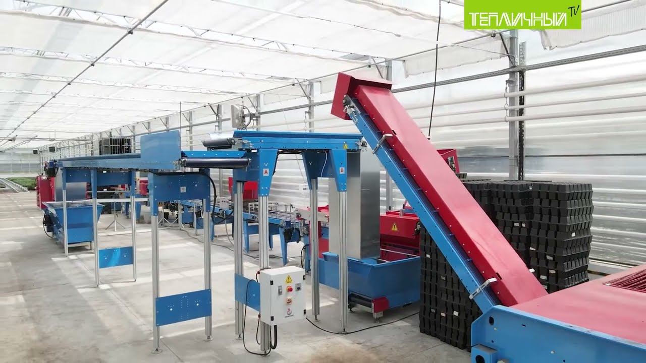 В комплексе для выращивания рассады "Тепличного" заработала посевная линия смотреть онлайн