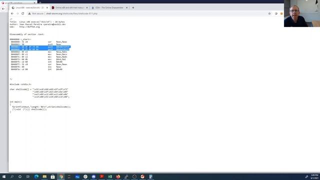 picoCTF 2021 filtered-shellcode смотреть онлайн