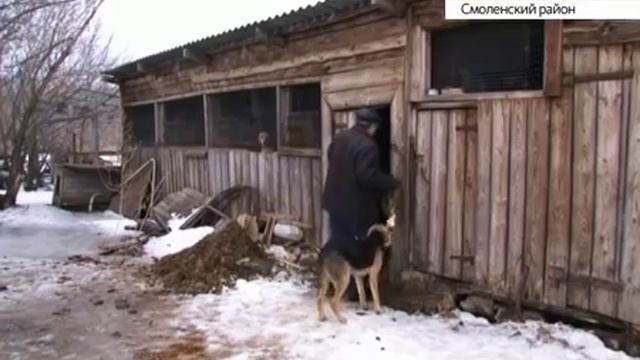 Русские гончие на Алтае смотреть онлайн