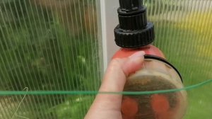 КАПЕЛЬНЫЙ ПОЛИВ ОТ ЕМКОСТИ | КАК НАСТРОИТЬ И ПОДКЛЮЧИТЬ | ТАКОГО ЕЩЕ НИКТО НЕ ПОКАЗЫВАЛ