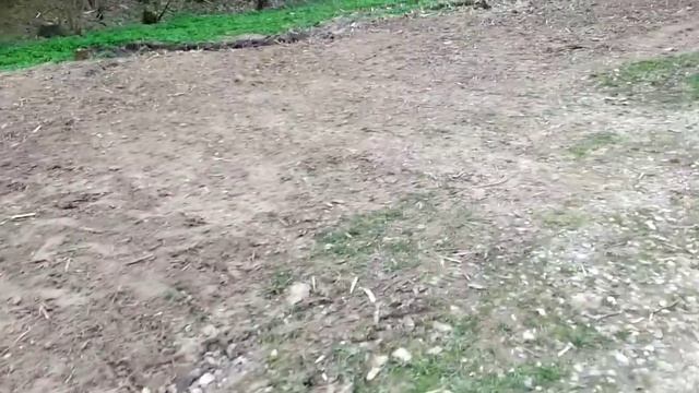 Влог, заморозки, рассада.Наше СНТ, дачники против ликвидации , не набрали голосов... смотреть онлайн