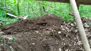 Как построить землянку в лесу? Строю землянку #2 часть!Своими руками!