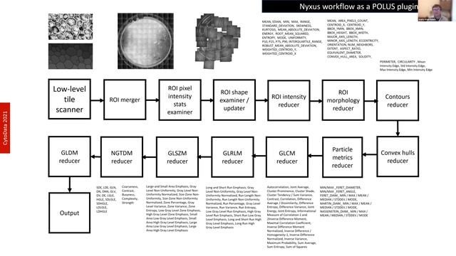 Nyxus feature extraction for multiscale microscopy смотреть онлайн