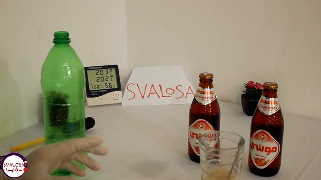 تحويل البيره بدون كحول لبيره كحولية في المنزل بطريقة سهلة смотреть онлайн