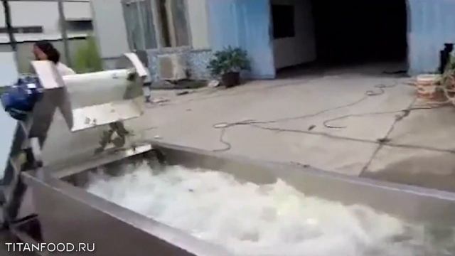 Линия для нарезки и мойки овощей салатов Titan-2000 смотреть онлайн