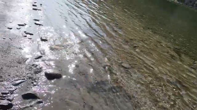 Хариус Балыктыг Хема #туварыбалка #балыктыгхем #ленокрыбалка #тайменьрыбалка #сплавбалыктыгхем смотреть онлайн