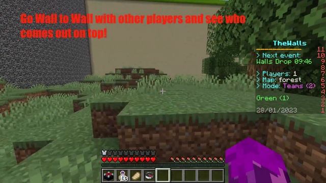 easysurvive.net 1.19.3 Minecraft Paper Server [Trailer] Mcmmo,Towny,Walls смотреть онлайн