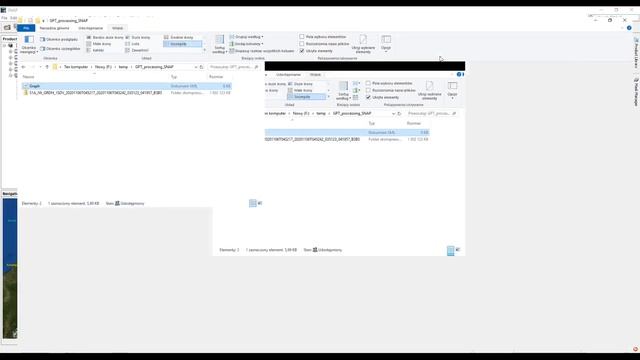 SNAP - graph processing with GPT смотреть онлайн