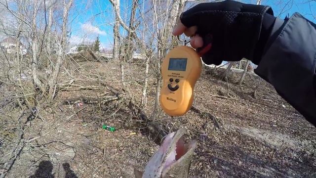 А щука то с СЮРПРИЗОМ!.. Рыбалка на спиннинг весной по мутной воде [Sibiryak007]