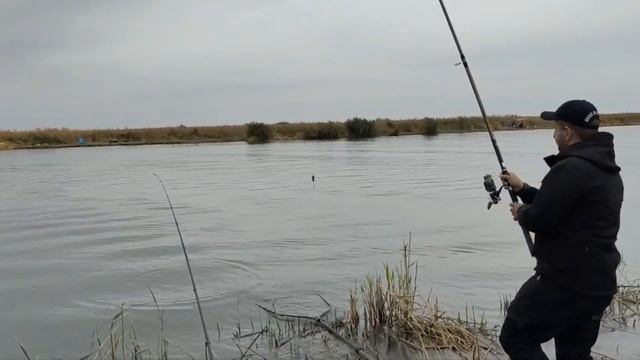 Рыбалка ОСЕНЬЮ,Трофейный Сазан,Карп ломает удочку.....Прекрастный отдых на Глубоком Турунчуке смотреть онлайн