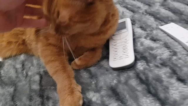 Томас скучает за Самвелом ! Ждет приезда домой смотреть онлайн