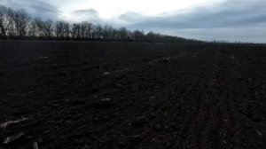 Охота на зайца русака в Полях Кубани.Сезон 22-23.Фмльм 6.