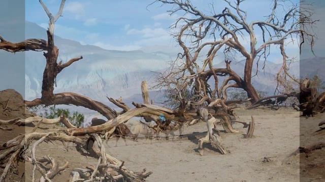 Epic Arabian Music, Egyptian Music , Ambient Relaxation смотреть онлайн