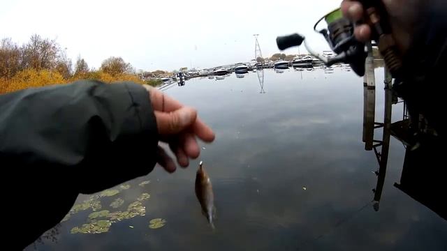 Рыбалка перед работой у яхтклуба.Тюнинг RYOBI Spiritual DX 500.