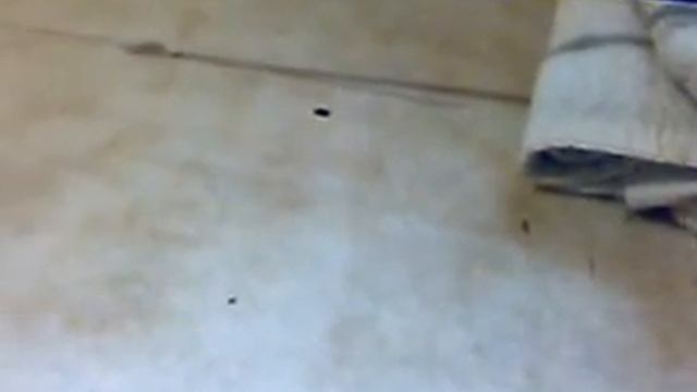зимняя удочка бесшумная смотреть онлайн