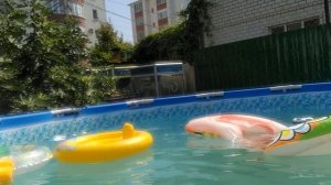 Уточки Ла-Ла Фан-Фан купаются в бассейне