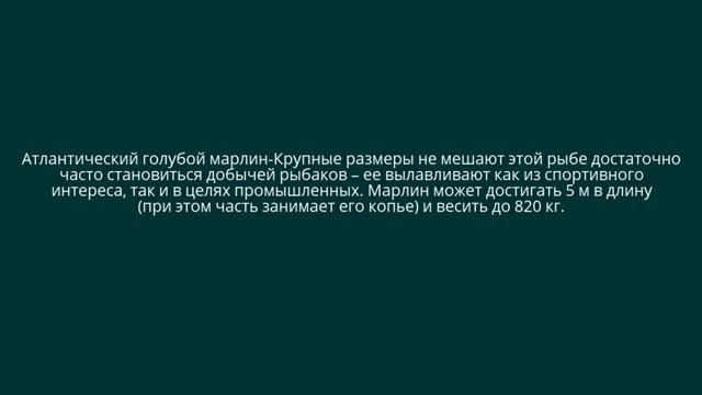 #Топ 10 Самые большие рыбы в земле. смотреть онлайн