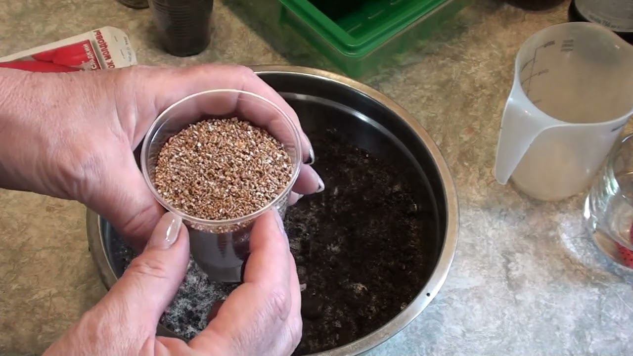 Проращивание семян перца без пикировки . Супер быстрые всходы и крепкая рассада !!! смотреть онлайн