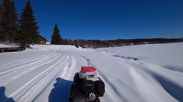 МОТОСОБАКА БЕЗ НАПРЯГА ТАЩИТ 200 ЛИТРОВ ВОДЫ! смотреть онлайн