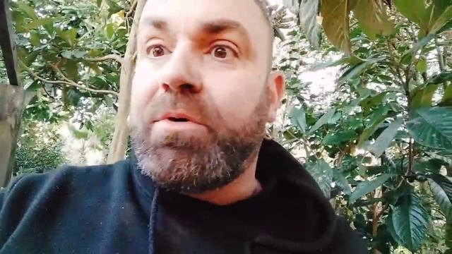 Escapes de AliExpress tras más de un año de uso en FJR 1300 ?????? смотреть онлайн