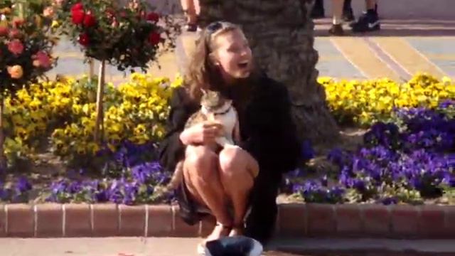 Регина Тодоренко смотреть онлайн