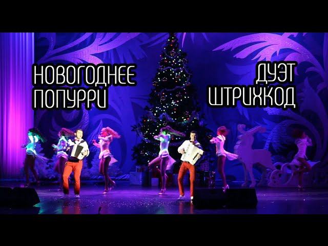 Дуэт аккордеонистов "Штрихкод" смотреть онлайн