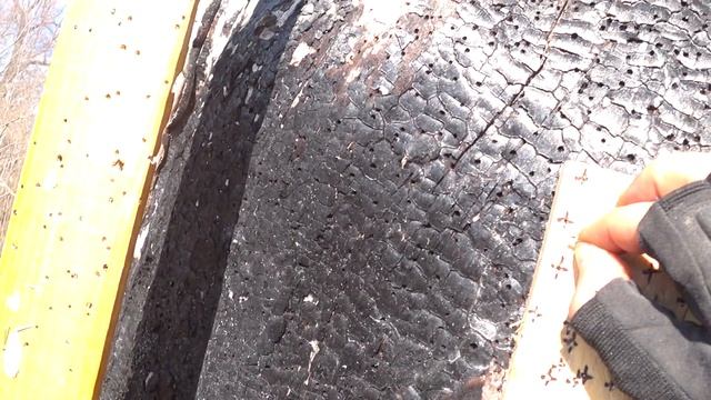 Отстрел патронов на разной комплектации смотреть онлайн