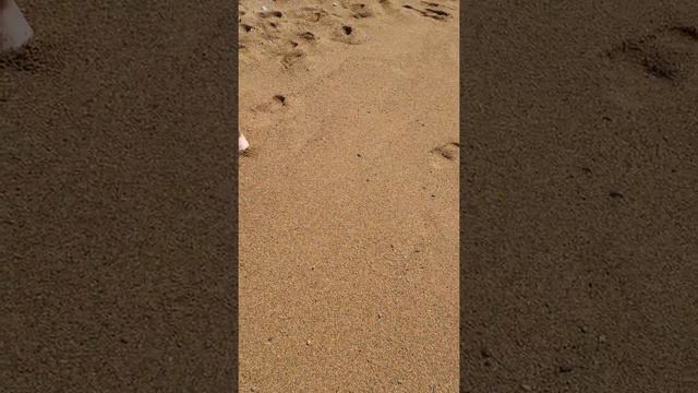 Первый раз увидел море смотреть онлайн