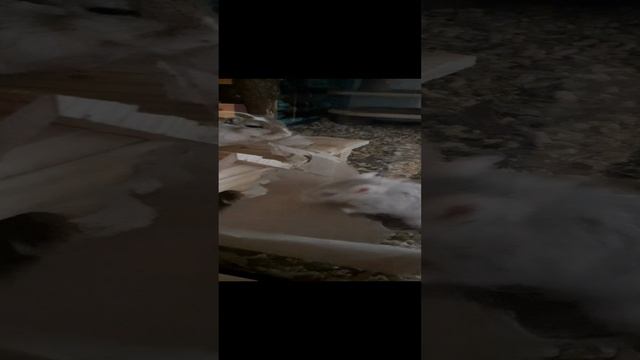 20211128_124259.mp4 смотреть онлайн