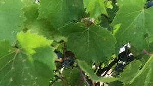 Путешествие по Европе. Тур по Европе на автобусе. (2ая серия)