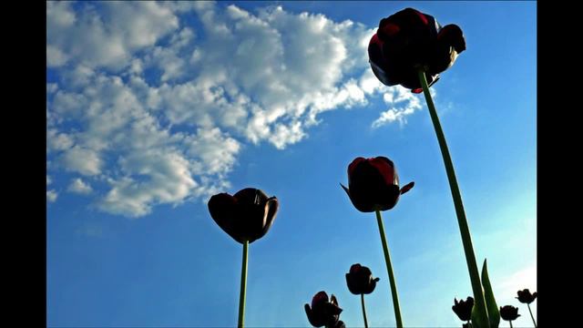 Как мне хотелось смотреть онлайн