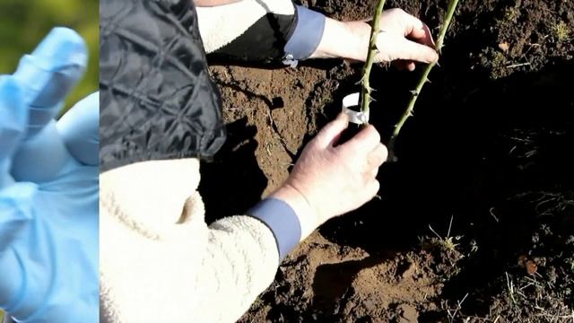 НЕСКОЛЬКО ПОЛЕЗНЫХ СОВЕТОВ ОТ КАНАЛА 