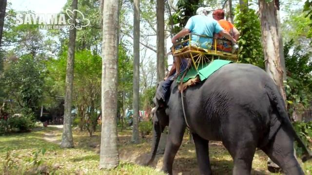 Экскурсии Паттайи. Тигровый зоопарк Sri Racha смотреть онлайн