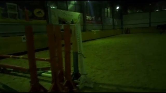 От Начала До Результата. Конный Спорт. КСК Темп. Как Я Училась. смотреть онлайн