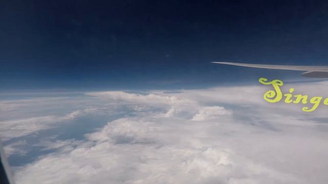 Singapore Tourism Travel Guide#singapore Zoo