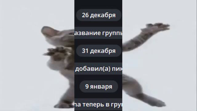 кот флексит под кешбек с локальным мемом смотреть онлайн