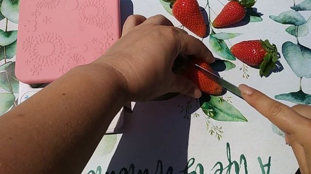 Сорт клубники ЛЮЧИЯ / Lycia. Хит продаж в Италии. смотреть онлайн