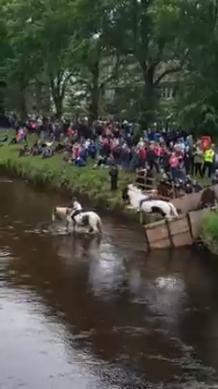 Спустилась на лошадке в реку смотреть онлайн