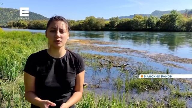 В Красноярском крае река Кувай окрасилась в жёлтый цвет