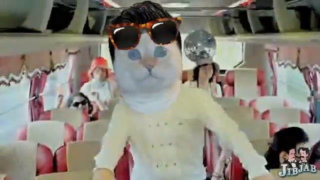 Gangnam Style Parodia Gatos-Cats Parody JibJab