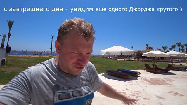 Otium Family Amphoras КОНФЛИКТЫ в отеле! Хотим УЕХАТЬ! АНИМАЦИЯ Shores hotel. МОРЕ в Шарм эль Шейхе смотреть онлайн