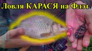 Ловля КРУПНОГО КАРАСЯ на Флэт Фидер | РЫБАЛКА НА ДИКАРЕ