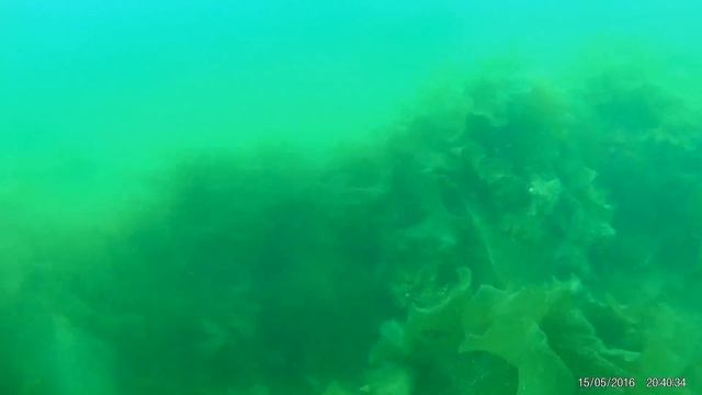 Homebuilt ROV - Kristiansund - Norway смотреть онлайн