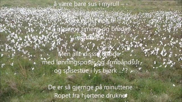 Sus i myrull - Hans Børli смотреть онлайн