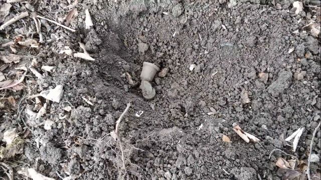 КОПАЕМ ПОДМОСКОВНУЮ УСАДЬБУ смотреть онлайн